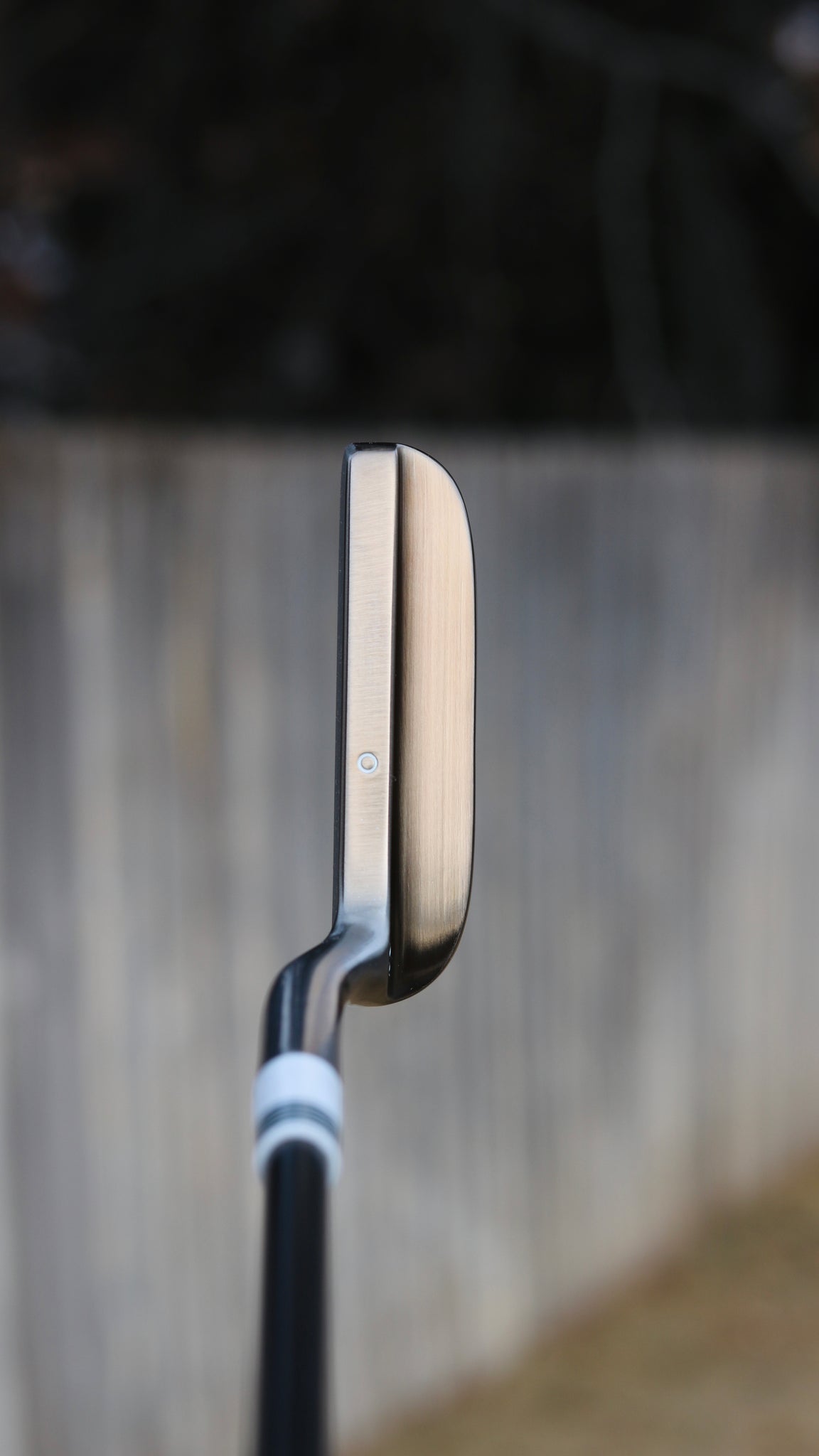 020 Putter